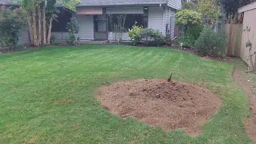 stump removal landscaping prep