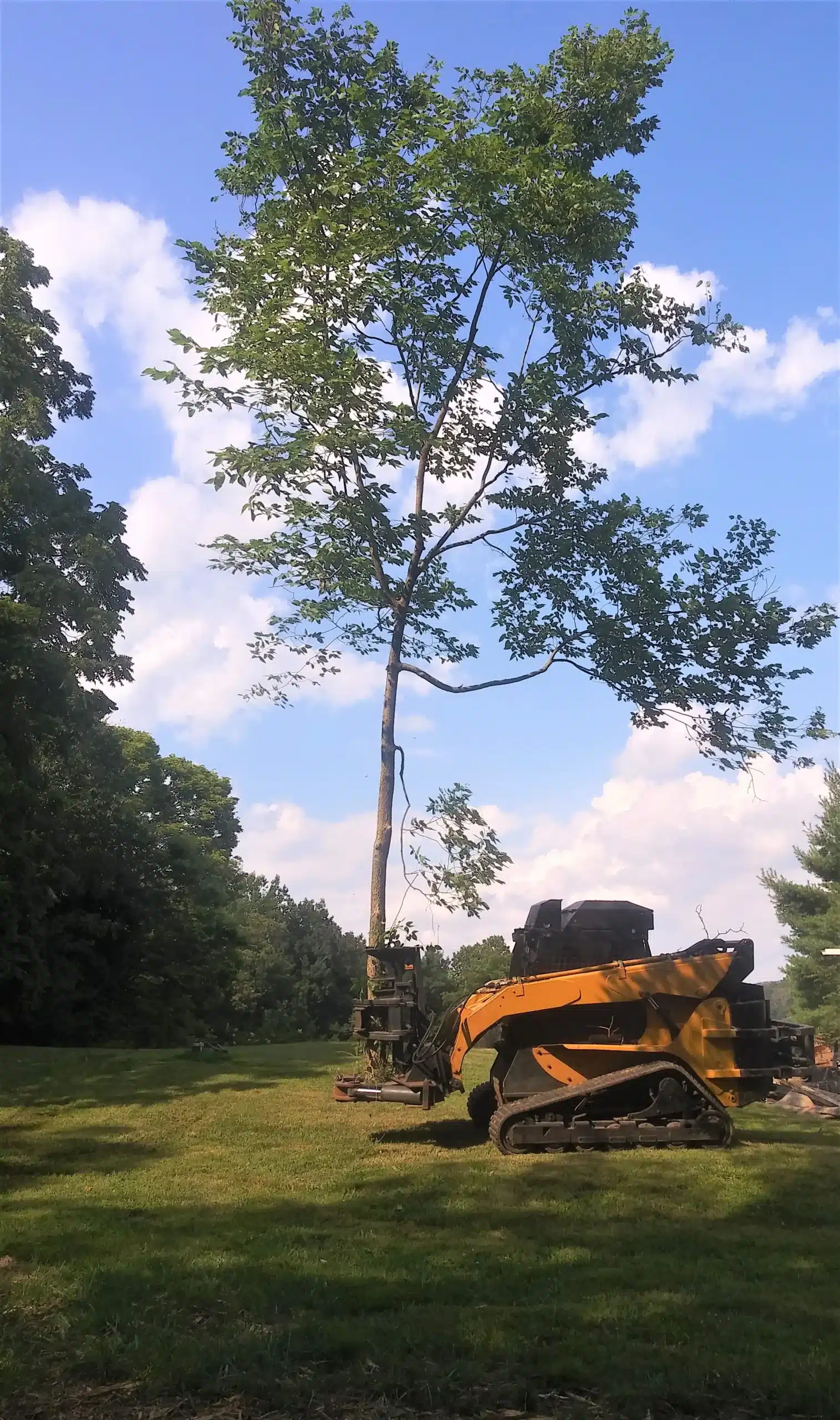 land and lot clearing in snohmish county