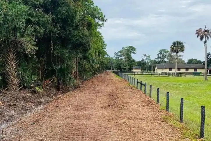 Brush clearing & land clearing