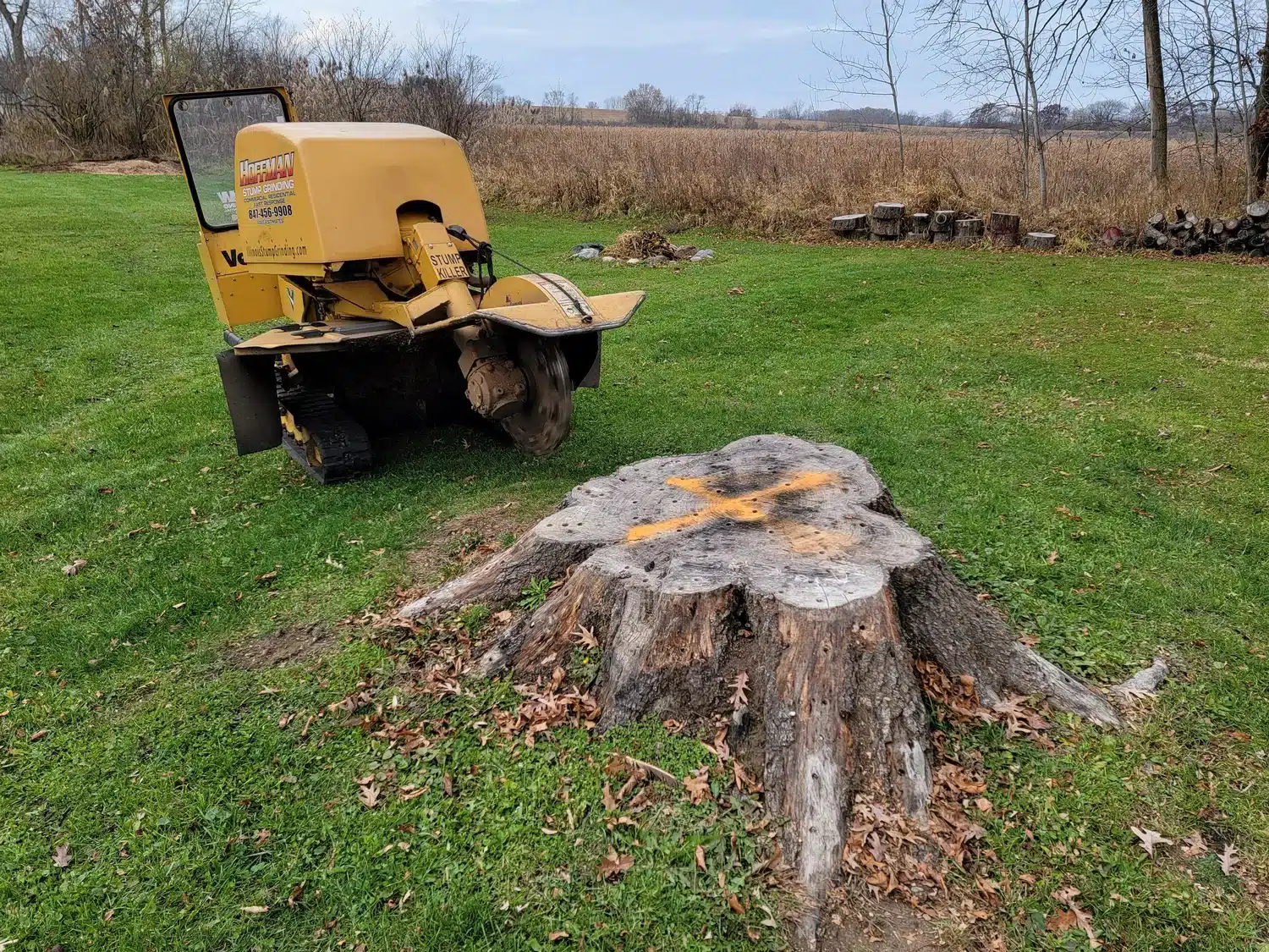 lot clearing stump removal service