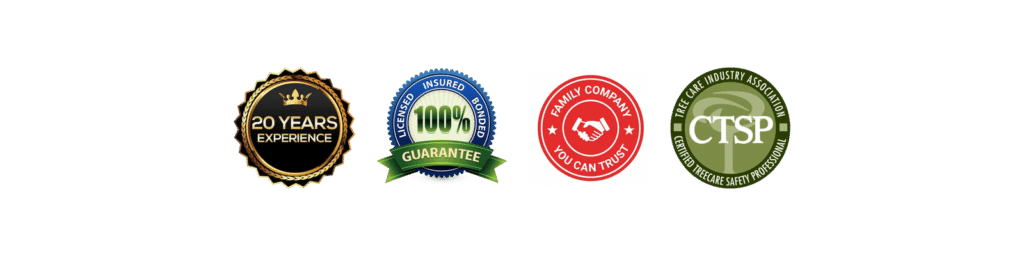 Welch Tree Service Trusted Tree Service in Everett, Washington